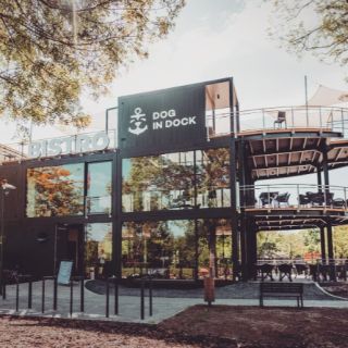 🐶 DOG IN DOCK – víno, co se narodilo v přístavu. Z Veselí nad Moravou až k tobě domů. 🍇 Lokální hrozny 🖐️ Ruční sběr...